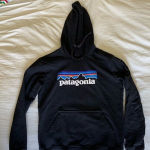 Patagonia Men’s P-6 Logo Hoodie